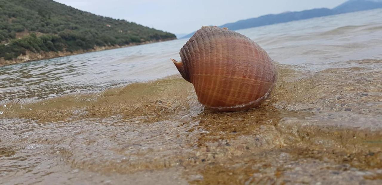 Appartamento Theoxenia Pteleós Esterno foto
